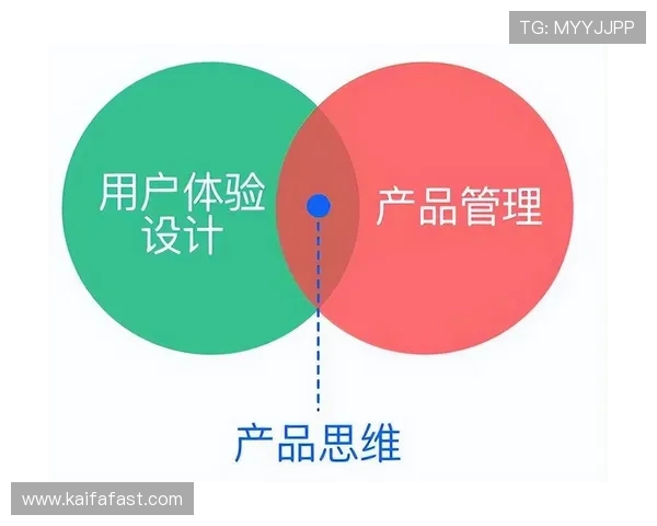 深入分析凯发网娱乐官网集团的用户体验与服务优化策略