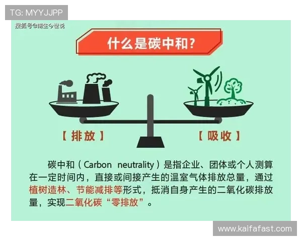 专家解析K8凯发登录入口的技术优势与未来发展方向