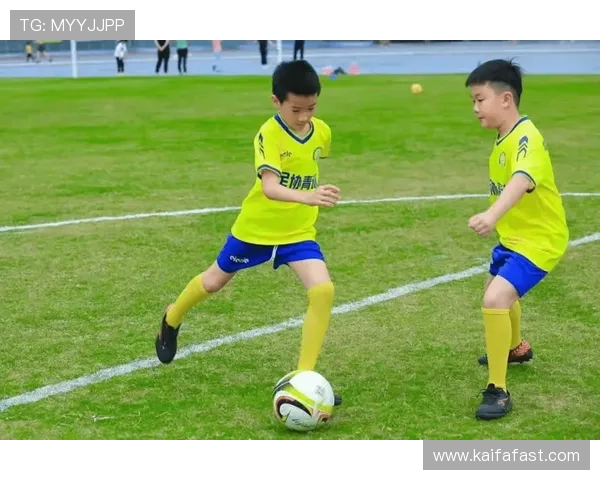 凯发娱乐体育：打造专业化体育娱乐体验的创新服务方案